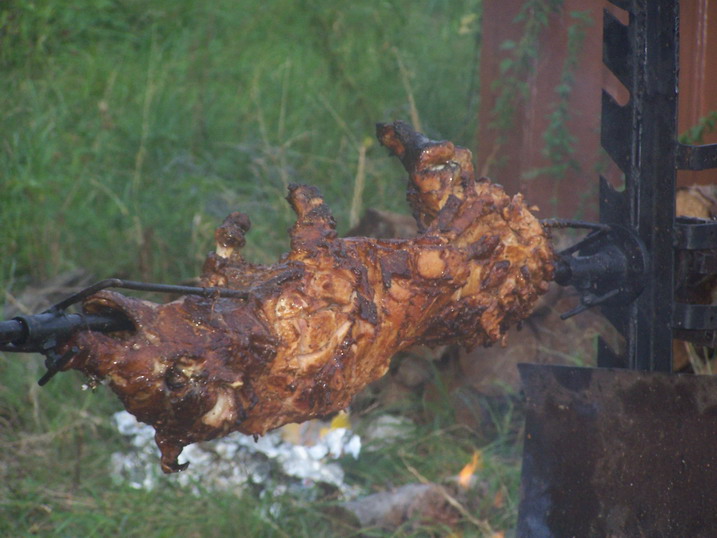 obr 075.jpg